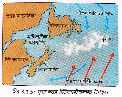 কুয়াশাচ্ছন্ন নিউন্ডফাউন্ডল্যান্ড উপকূল