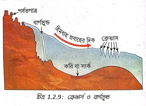 ক্রেভার্স ও বার্গস্রুন্ড