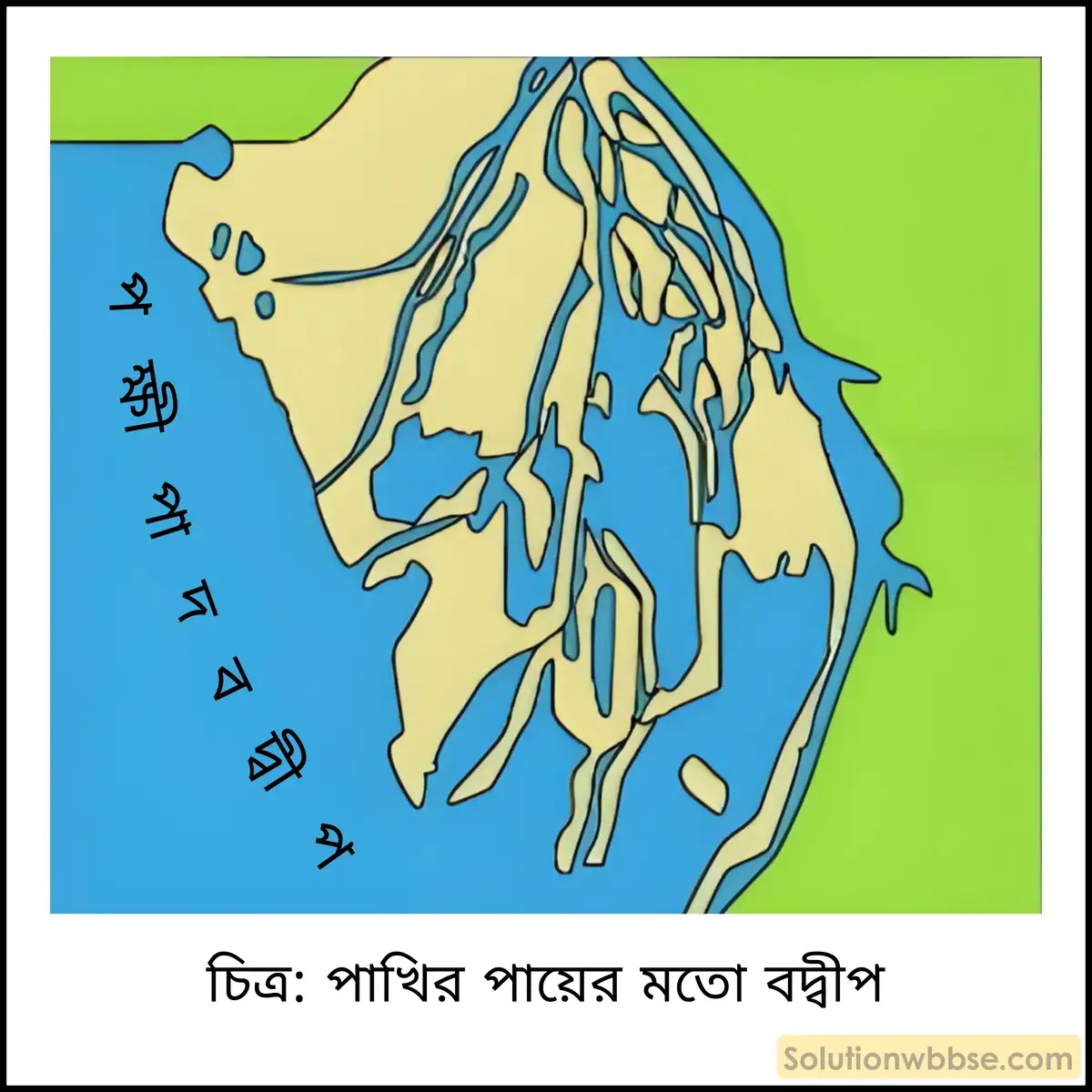মাধ্যমিক ভুগোল - বহির্জাত প্রক্রিয়া ও তাদের দ্বারা সৃষ্ট ভূমিরূপ - বহির্জাত প্রক্রিয়া ও নদীর কাজ দ্বারা সৃষ্ট ভূমিরূপ - ব্যাখ্যামূলক প্রশ্ন ও উত্তর 7 ধনুকাকৃতি, তীক্ষ্ণাগ্র এবং পাখির পায়ের মতো বদ্বীপ কাকে বলে?