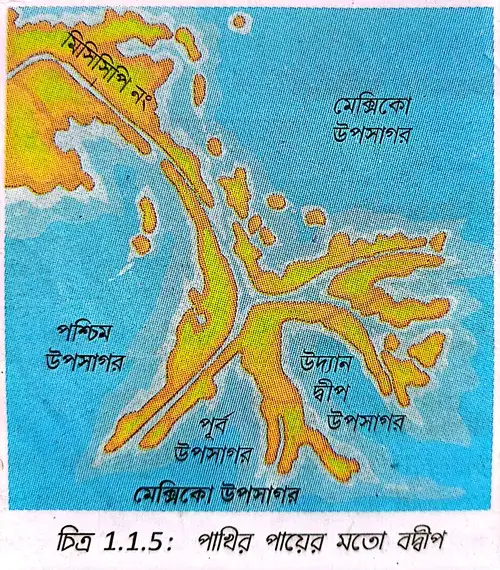 পাখির পায়ের মতো বদ্বীপ