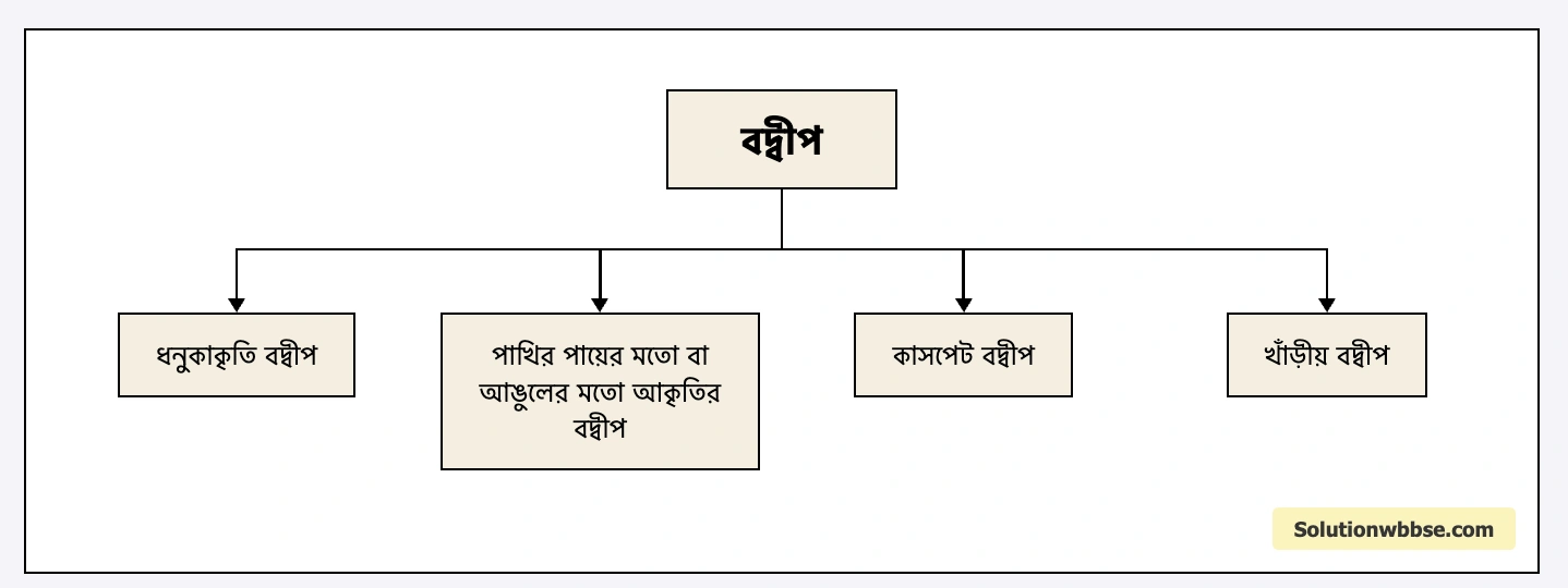 বদ্বীপের শ্রেণিবিভাগ