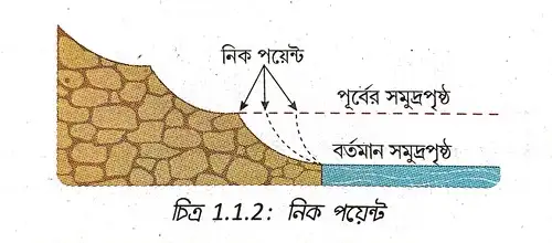 নিক পয়েন্ট