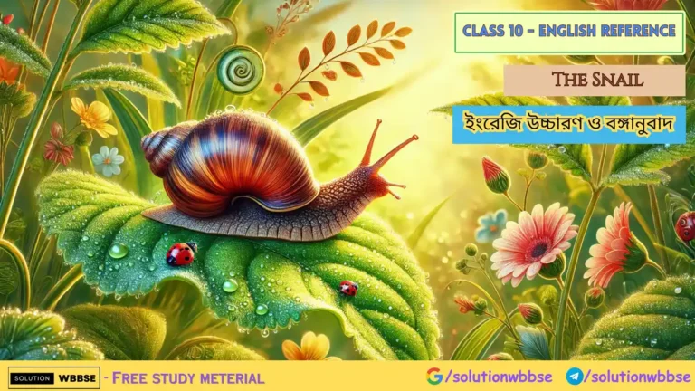 Class 10 - English Reference - The Snail - ইংরেজি উচ্চারণ ও বঙ্গানুবাদ