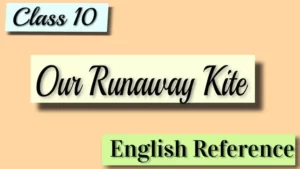 Class 10 – English Reference – Our Runaway Kite