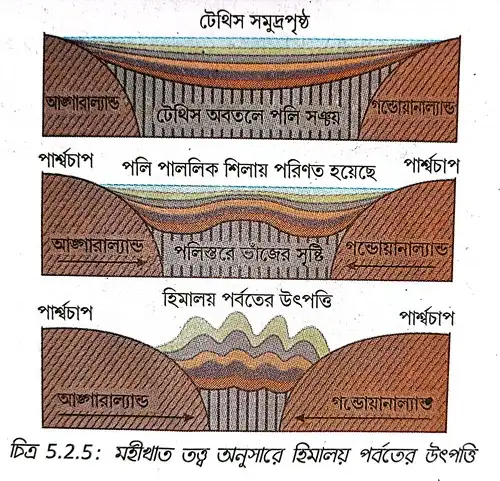 মহীখাত তত্ব অনুসারে হিমালয় পর্বতের উৎপত্তি