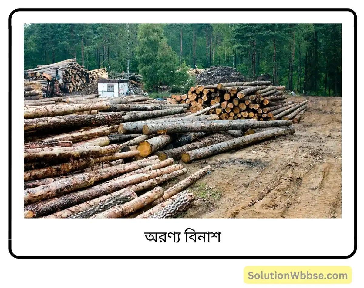 মাধ্যমিক জীবন বিজ্ঞান – পরিবেশ তার সম্পদ এবং তাদের সংরক্ষণ – পরিবেশ এবং মানব জনসমষ্টি – রচনাধর্মী প্রশ্নোত্তর 2 অরণ্য বিনাশ-