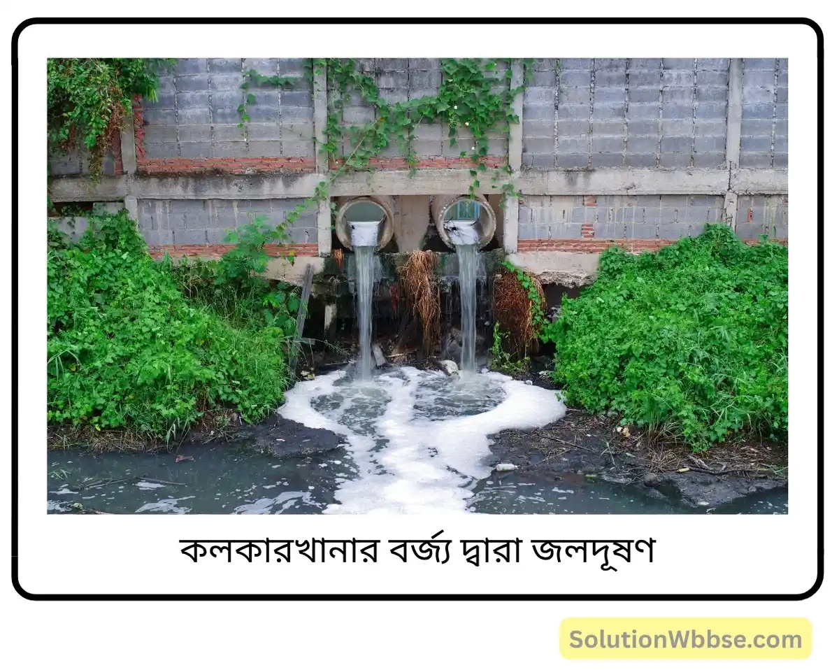 মাধ্যমিক জীবন বিজ্ঞান — পরিবেশ তার সম্পদ এবং তাদের সংরক্ষণ — পরিবেশদূষন — রচনাধর্মী প্রশ্নোত্তর 4 কলকারখানার বর্জ্য দ্বারা জলদূষণ-