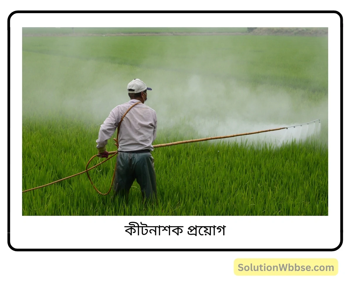 মাধ্যমিক জীবন বিজ্ঞান — পরিবেশ তার সম্পদ এবং তাদের সংরক্ষণ — পরিবেশদূষন — সংক্ষিপ্ত প্রশ্নোত্তর 4 কীটনাশক প্রয়োগ