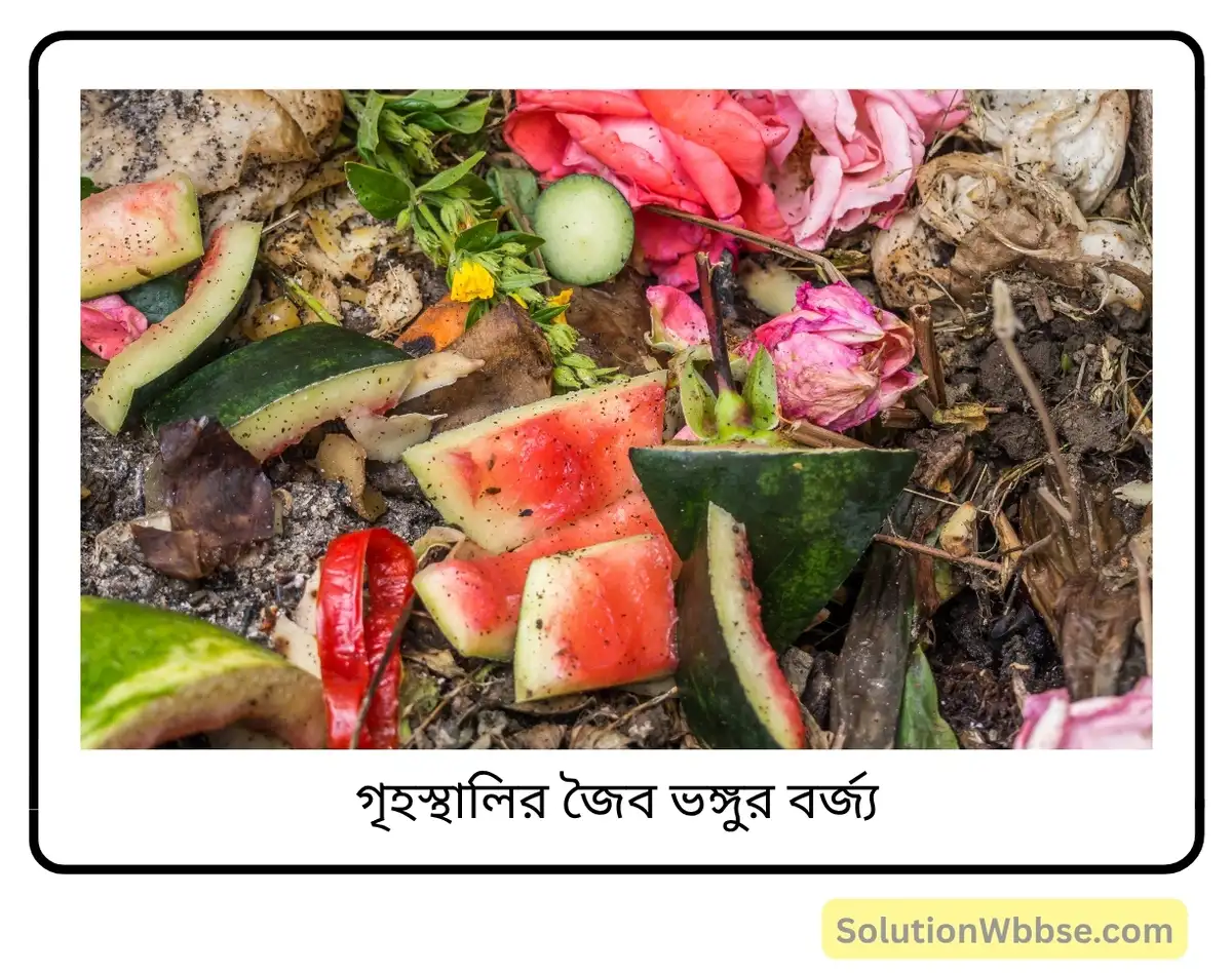 মাধ্যমিক জীবন বিজ্ঞান — পরিবেশ তার সম্পদ এবং তাদের সংরক্ষণ — পরিবেশদূষন — সংক্ষিপ্ত প্রশ্নোত্তর 2 গৃহস্থালির জৈব ভঙ্গুর বর্জ্য