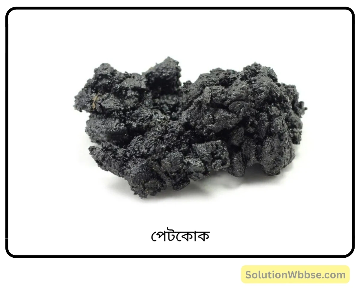 মাধ্যমিক জীবন বিজ্ঞান – পরিবেশ তার সম্পদ এবং তাদের সংরক্ষণ – পরিবেশদূষন – অতিসংক্ষিপ্ত প্রশ্নোত্তর 2 পেট্রোলিয়াম কোক