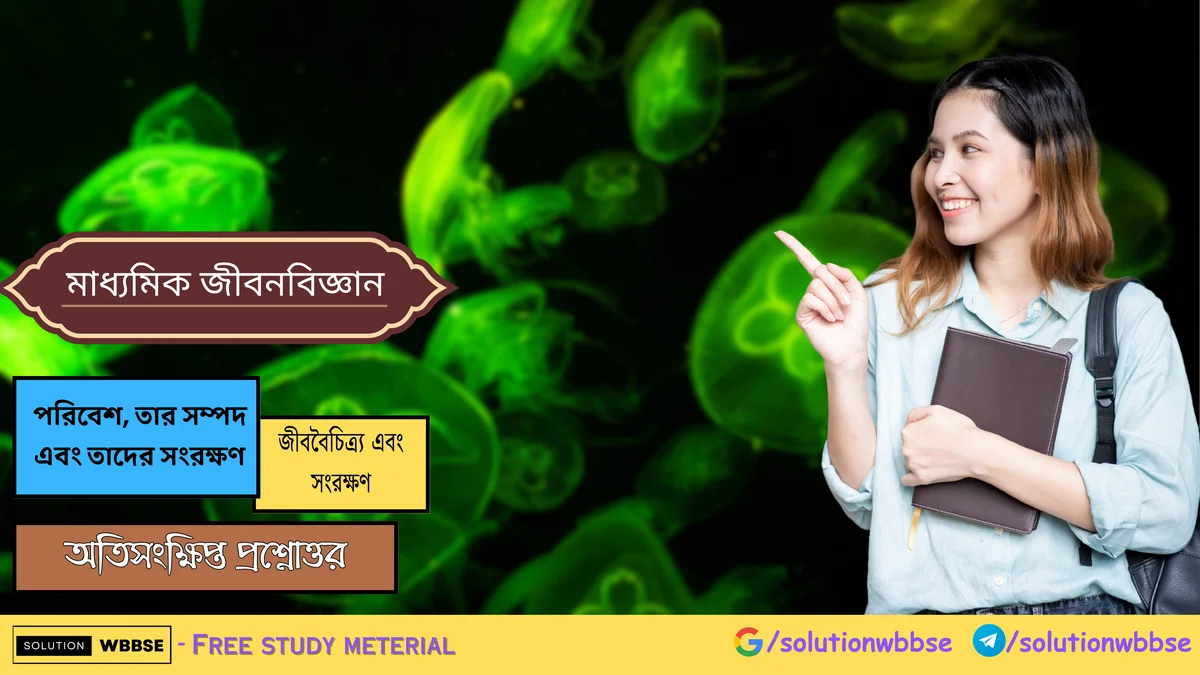মাধ্যমিক জীবন বিজ্ঞান - পরিবেশ, তার সম্পদ এবং তাদের সংরক্ষণ - জীববৈচিত্র্য এবং সংরক্ষণ - অতিসংক্ষিপ্ত প্রশ্নোত্তর 1 মাধ্যমিক জীবন বিজ্ঞান - পরিবেশ, তার সম্পদ এবং তাদের সংরক্ষণ - জীববৈচিত্র্য এবং সংরক্ষণ - অতিসংক্ষিপ্ত প্রশ্নোত্তর