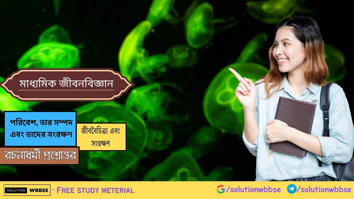 মাধ্যমিক জীবন বিজ্ঞান – পরিবেশ, তার সম্পদ এবং তাদের সংরক্ষণ – জীববৈচিত্র্য এবং সংরক্ষণ – রচনাধর্মী প্রশ্নোত্তর 1 মাধ্যমিক জীবন বিজ্ঞান – পরিবেশ, তার সম্পদ এবং তাদের সংরক্ষণ – জীববৈচিত্র্য এবং সংরক্ষণ – রচনাধর্মী প্রশ্নোত্তর