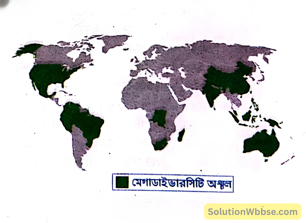 মাধ্যমিক জীবন বিজ্ঞান – পরিবেশ, তার সম্পদ এবং তাদের সংরক্ষণ – জীববৈচিত্র্য এবং সংরক্ষণ – জীববৈচিত্র্যের গুরুত্ব, জীববৈচিত্র্যের হটস্পট, জীববৈচিত্র্যের হ্রাস ও সুন্দরবনের পরিবেশগত সমস্যা – সংক্ষিপ্ত প্রশ্নোত্তর 3 মেগাডাইভারসিটি দেশসমূহ
