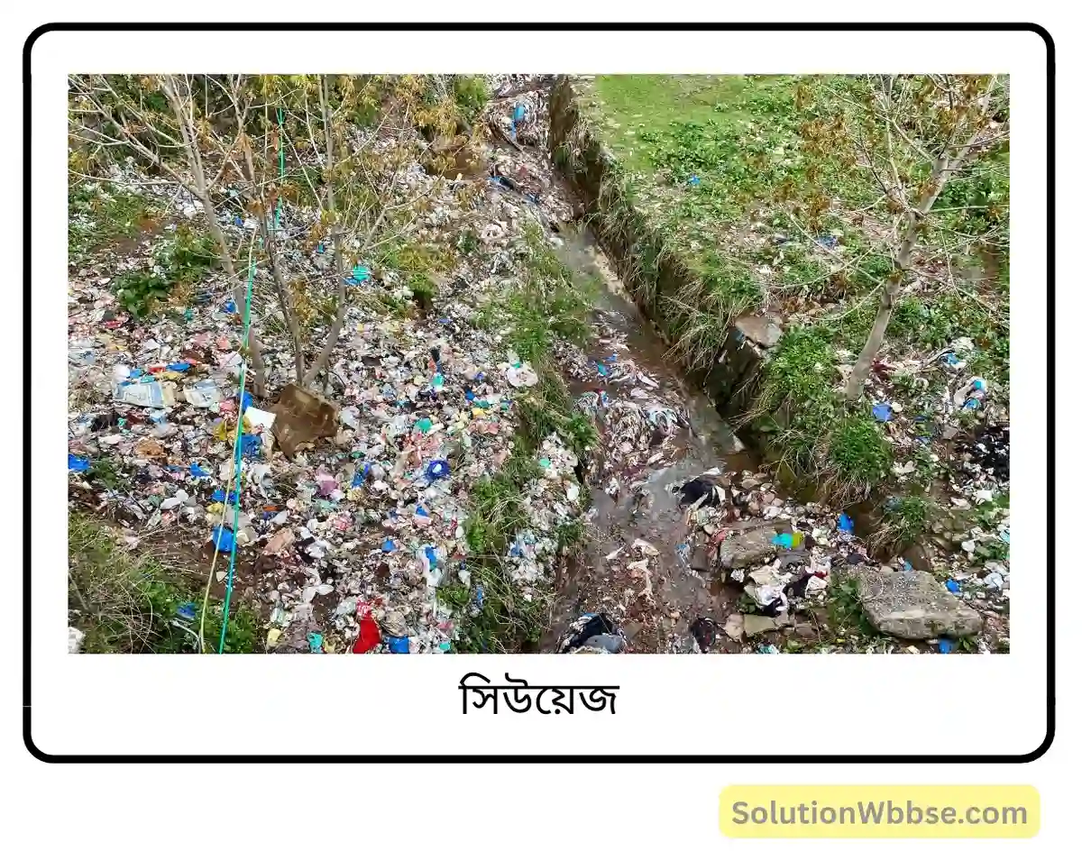 মাধ্যমিক জীবন বিজ্ঞান – পরিবেশ তার সম্পদ এবং তাদের সংরক্ষণ – পরিবেশদূষন – অতিসংক্ষিপ্ত প্রশ্নোত্তর 4 সিউয়েজ