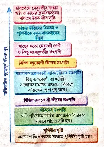 অভিব্যক্তির গুরুত্বপূর্ণ ঘটনাসমূহ রেখাচিত্রের মাধ্যমে ব্যাখ্যা দাও।