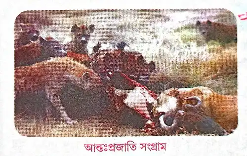 ] আন্তঃপ্রজাতি সংগ্রাম