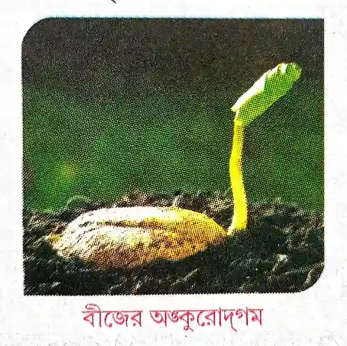 ঋণাত্মক বৃদ্ধি বলতে কী বোঝ