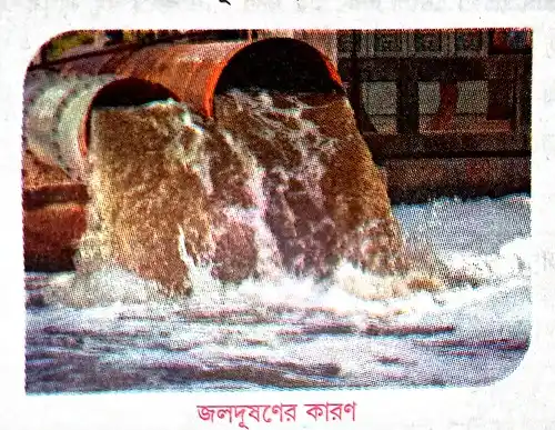 জলদূষণের কারণ