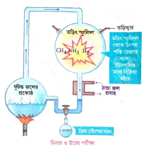 জীবনের সংজ্ঞা দাও। জীবনের উৎপত্তি সম্পর্কে মিলার এবং উরে-র পরীক্ষাটি সংক্ষেপে লেখো ।