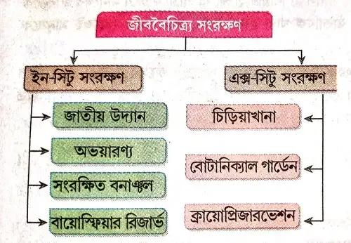 জীববৈচিত্র্য সংরক্ষণের পদ্ধতি