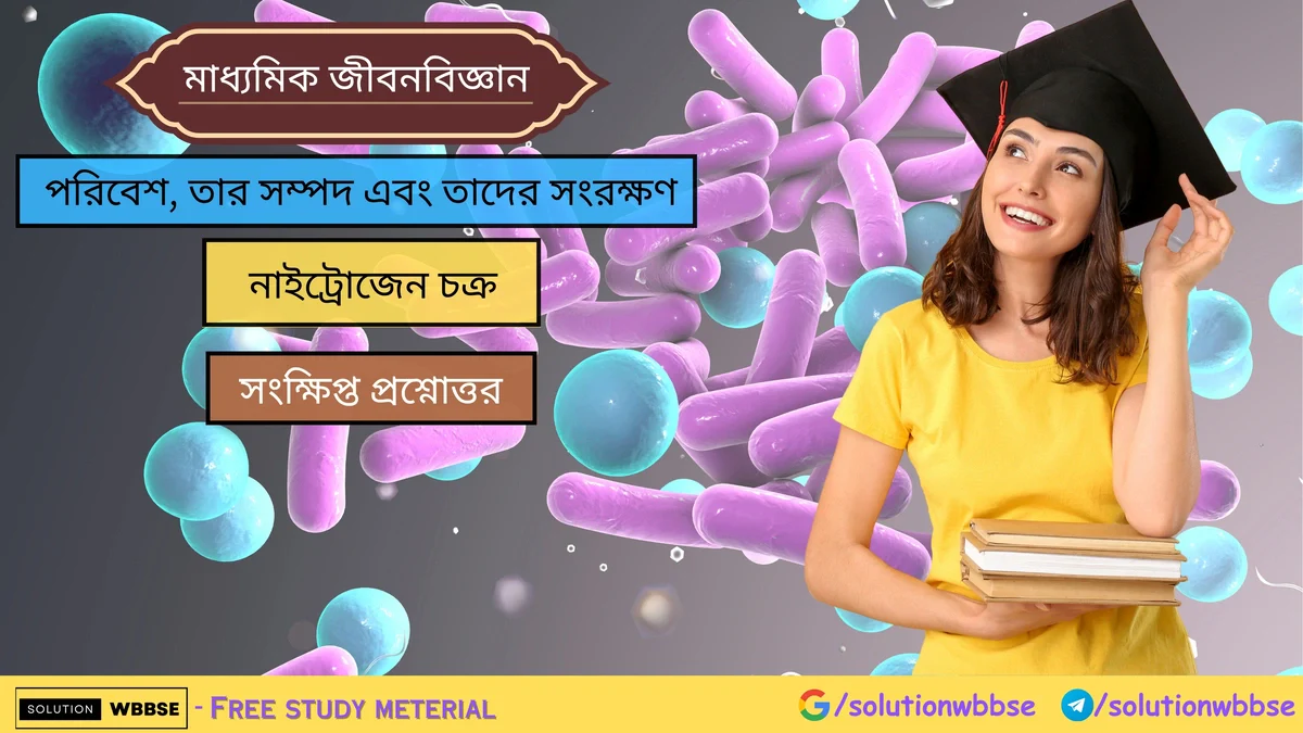 নাইট্রোজেন চক্র – সংক্ষিপ্ত প্রশ্নোত্তর