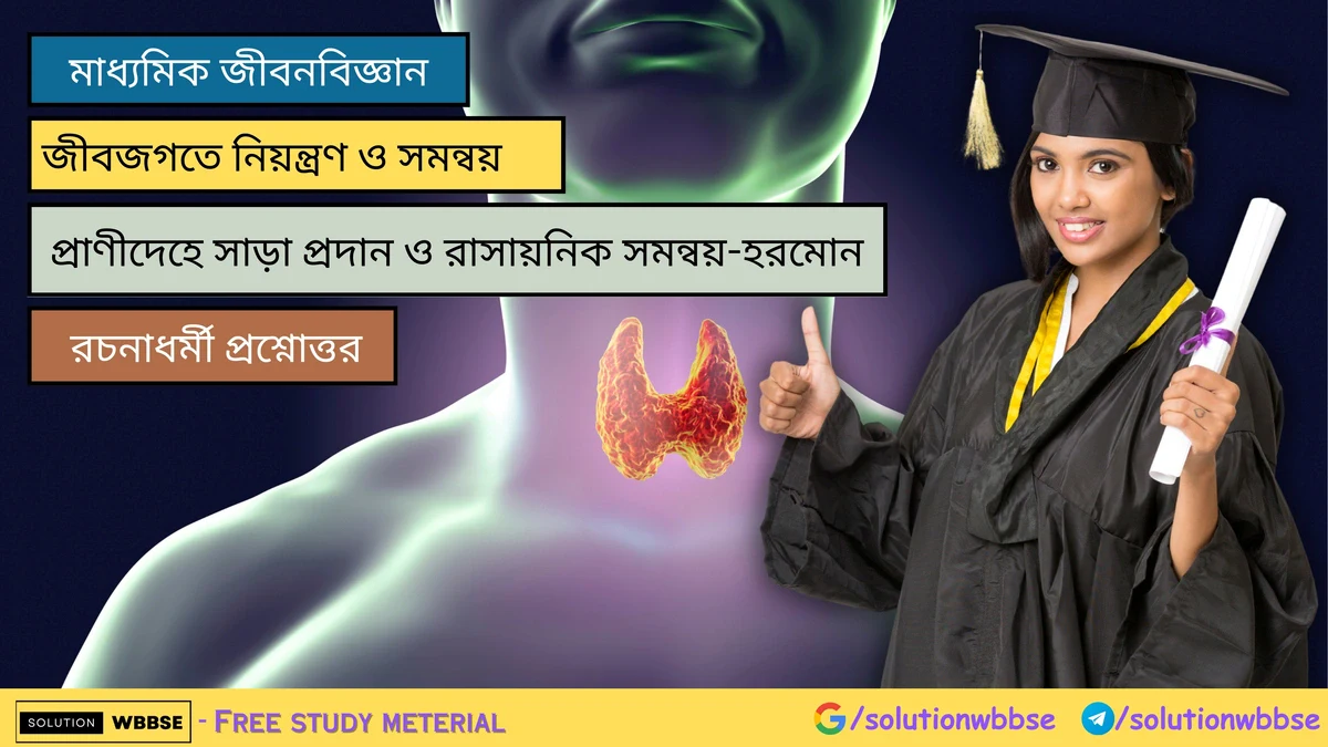 প্রাণীদেহে সাড়া প্রদান ও রাসায়নিক সমন্বয়-হরমোন - রচনাধর্মী প্রশ্নোত্তর
