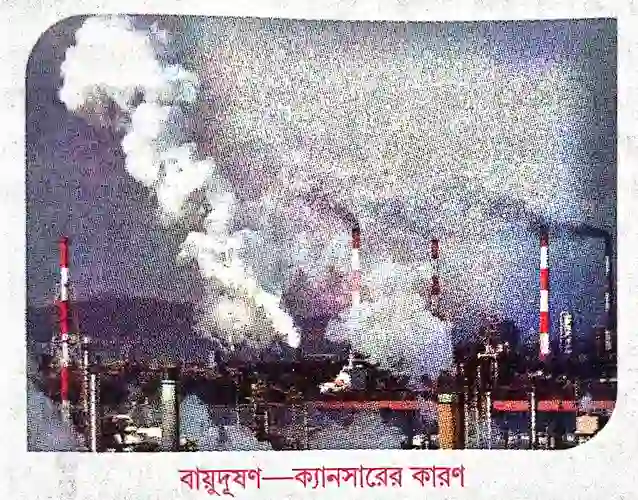 ফুসফুসীয় ক্যানসারের কারণ কী