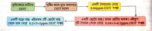 মাটিদূষণের ফলাফল বা মাটিদূষণের ক্ষতিকর প্রভাব