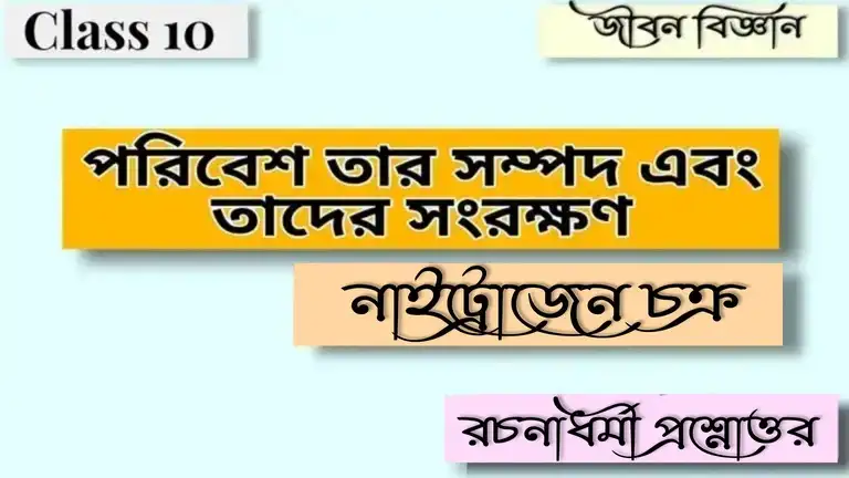 মাধ্যমিক জীবন বিজ্ঞান – পরিবেশ তার সম্পদ এবং তাদের সংরক্ষণ – নাইট্রোজেন চক্র