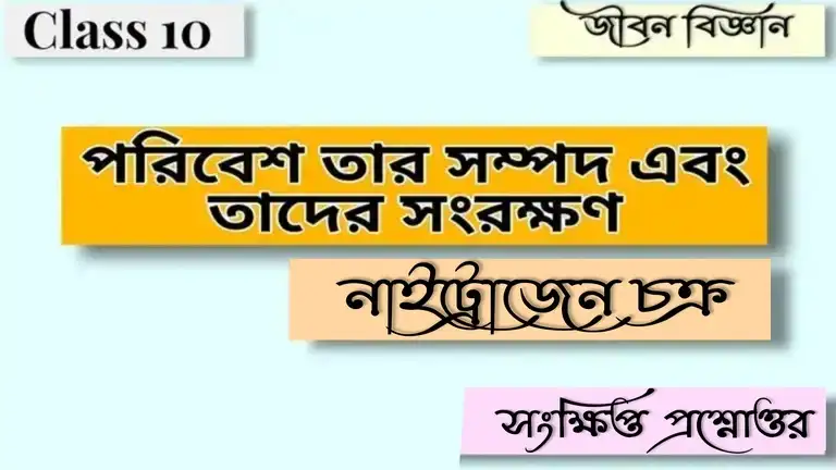 মাধ্যমিক জীবন বিজ্ঞান - পরিবেশ তার সম্পদ এবং তাদের সংরক্ষণ - নাইট্রোজেন চক্র