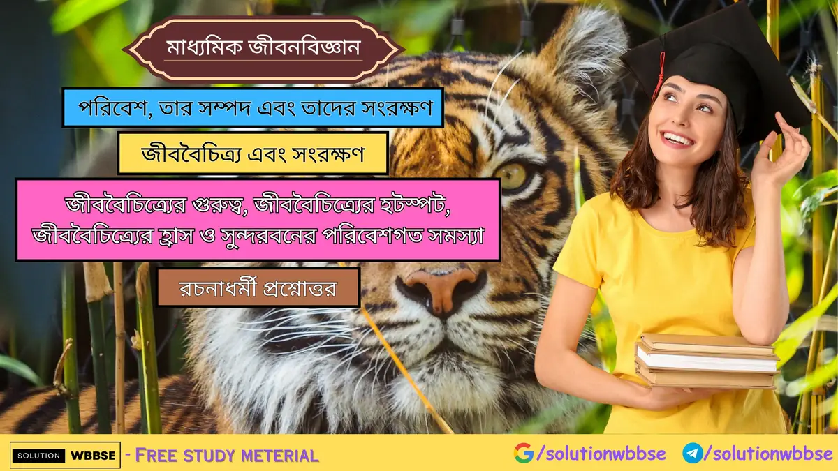 সুন্দরবনের পরিবেশগত সমস্যা – রচনাধর্মী প্রশ্নোত্তর