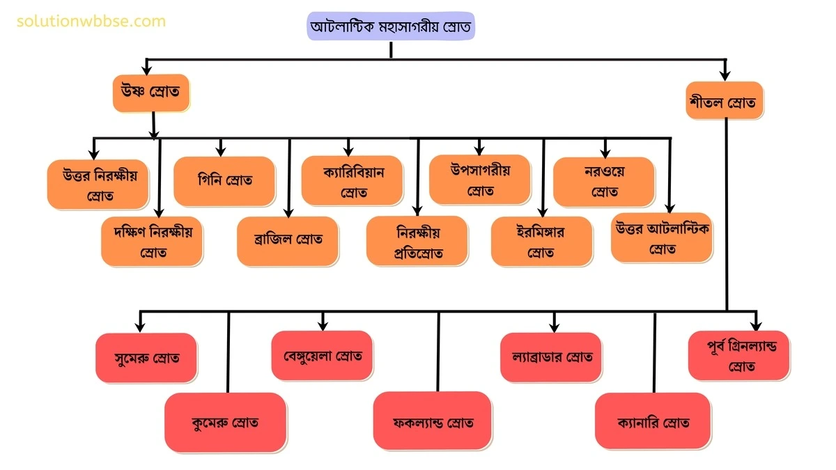 মাধ্যমিক ভূগোল - বারিমন্ডল - সমুদ্রস্রোত - সংক্ষিপ্ত ব্যাখ্যামূলক প্রশ্ন ও উত্তর 4 আটলান্টিক মহাসাগরীয় স্রোত