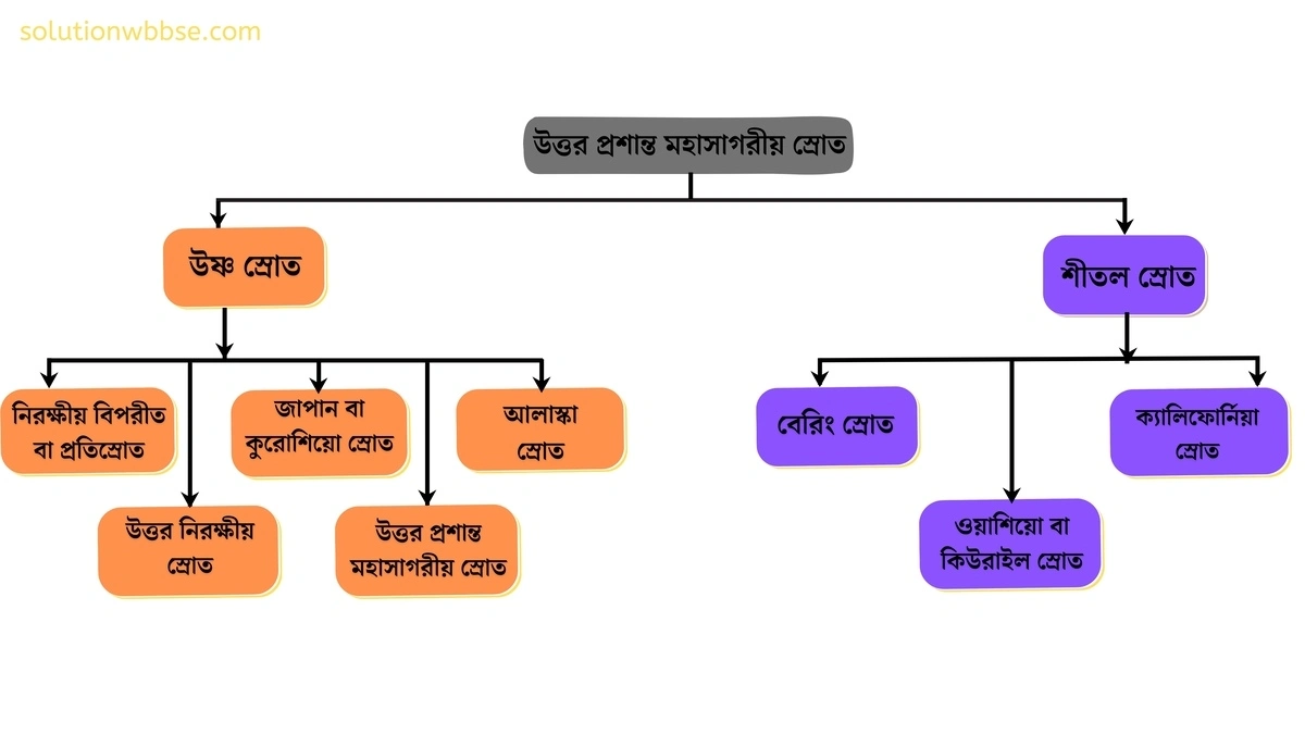 মাধ্যমিক ভূগোল - বারিমন্ডল - সমুদ্রস্রোত - সংক্ষিপ্ত ব্যাখ্যামূলক প্রশ্ন ও উত্তর 8 উত্তর প্রশান্ত মহাসাগরের প্রধান সমুদ্রস্রোত