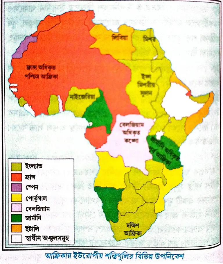 চিন ও আফ্রিকার ব্যবচ্ছেদে ইউরোপীয় দেশগুলির ভূমিকা সংক্ষেপে লেখো।