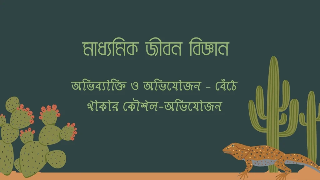 অভিব্যাক্তি ও অভিযোজন – বেঁচে থাকার কৌশল-অভিযোজন