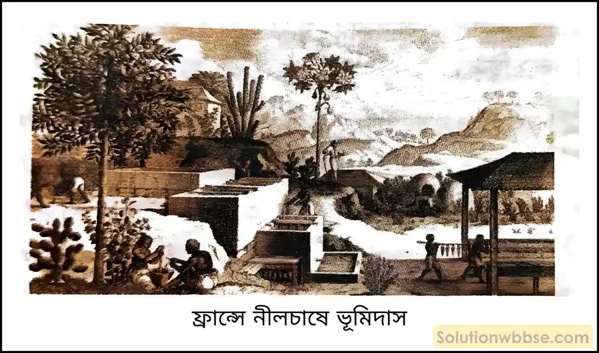 নবম শ্রেণী ইতিহাস - ফরাসি বিপ্লবের কয়েকটি দিক - বিশ্লেষণমূলক প্রশ্ন উত্তর 11 ফ্রান্সের ইতিহাসে 1789 খ্রিস্টাব্দের 4 আগস্ট কেন গুরুত্বপূর্ণ?