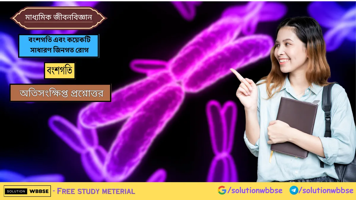 মাধ্যমিক জীবন বিজ্ঞান – বংশগতি এবং কয়েকটি সাধারণ জিনগত রোগ – বংশগতি – অতিসংক্ষিপ্ত প্রশ্নোত্তর 1 বংশগতি এবং কয়েকটি সাধারণ জিনগত রোগ – বংশগতি – অতিসংক্ষিপ্ত প্রশ্নোত্তর