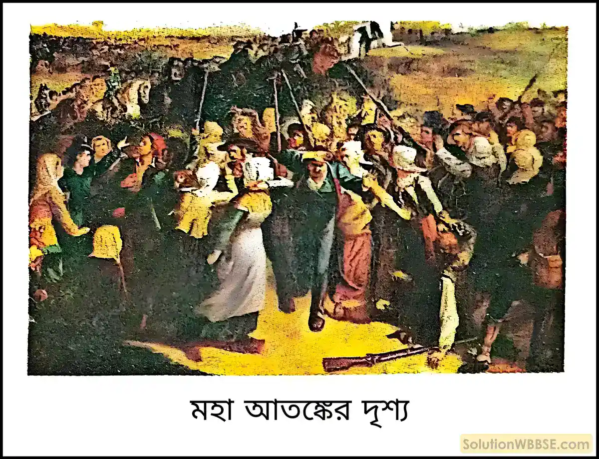 নবম শ্রেণী ইতিহাস - ফরাসি বিপ্লবের কয়েকটি দিক - বিশ্লেষণমূলক প্রশ্ন উত্তর 15 ফরাসি বিপ্লবে গ্রামীণ জনতার ভূমিকা কী ছিল?