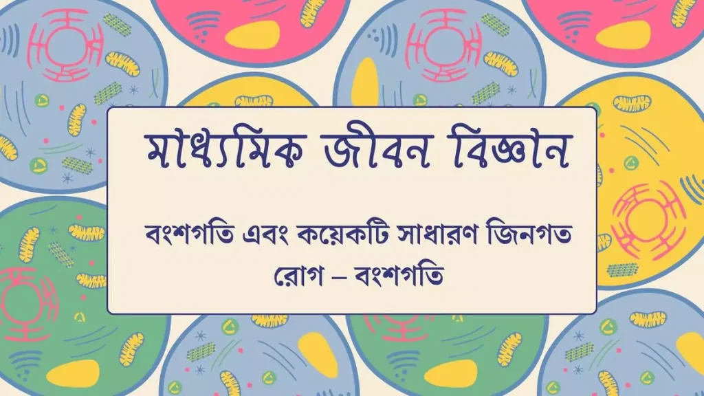 মাধ্যমিক জীবন বিজ্ঞান – বংশগতি এবং কয়েকটি সাধারণ জিনগত রোগ 11