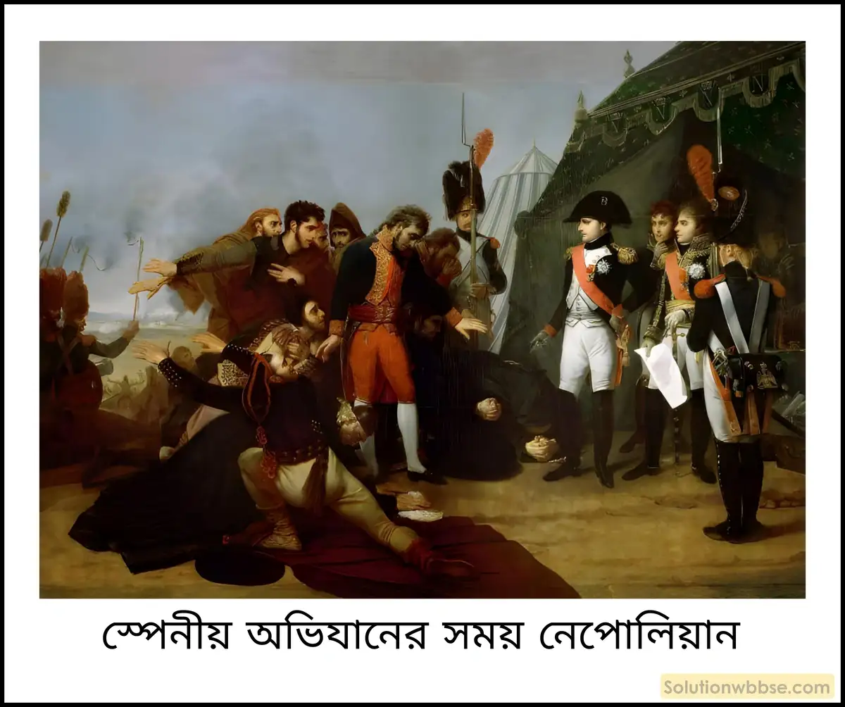 নবম শ্রেণী ইতিহাস - বিপ্লবী আদর্শ, নেপোলিয়নীয় সাম্রাজ্য ও জাতীয়তাবাদ - ব্যাখ্যামূলক প্রশ্ন ও উত্তর 14 নেপোলিয়নের পতনের কারণ আলোচনা করো।