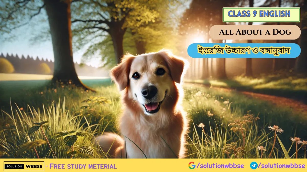 Class 9 English - All About a Dog - ইংরেজি উচ্চারণ ও বঙ্গানুবাদ