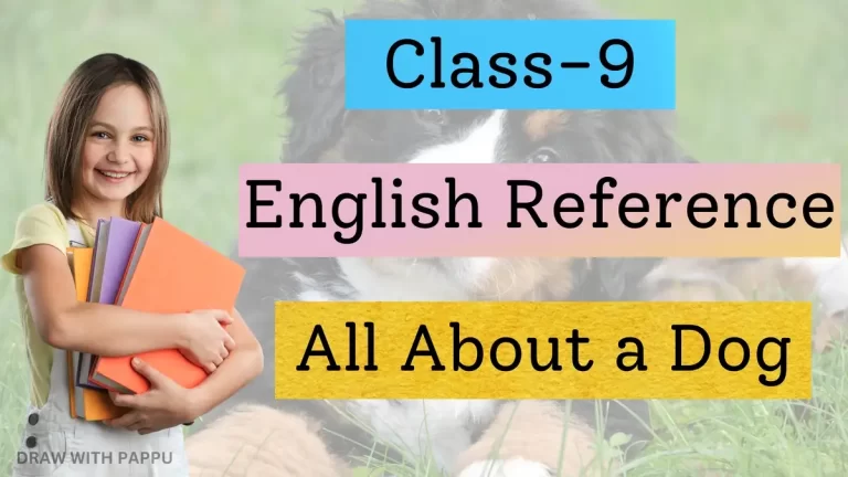 English Reference – All About a Dog