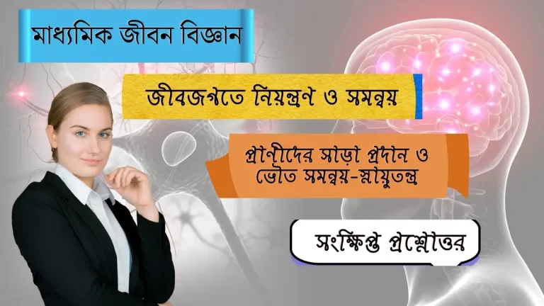 জীবজগতে নিয়ন্ত্রণ ও সমন্বয় – প্রাণীদের সাড়া প্রদান ও ভৌত সমন্বয়-স্নায়ুতন্ত্র 2