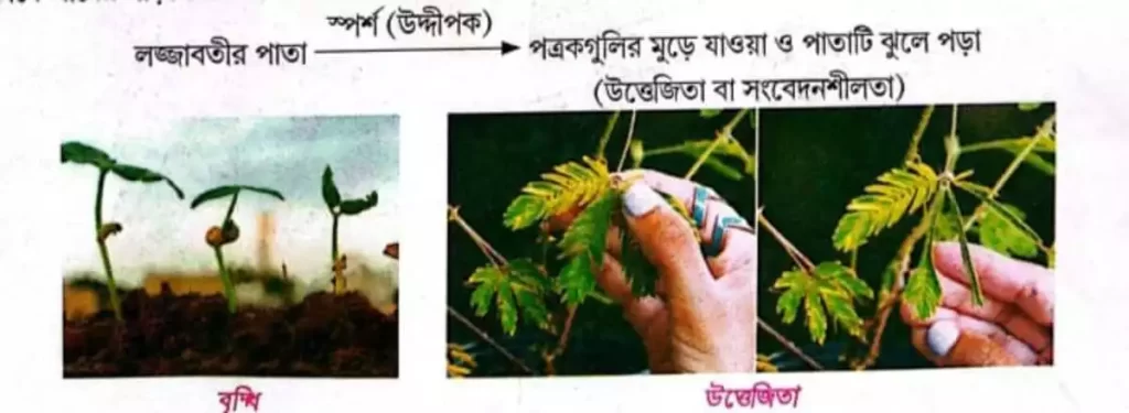 জীবনের প্রধান তিনটি বৈশিষ্ট্য