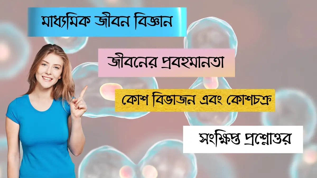 জীবনের প্রবহমানতা – কোশ বিভাজন এবং কোশচক্র (2)