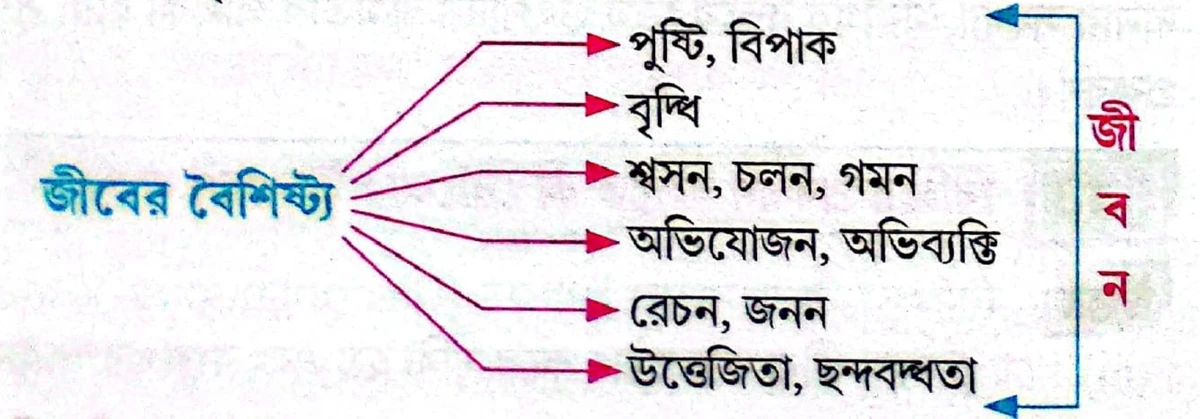 জীবের বৈশিষ্ট্য