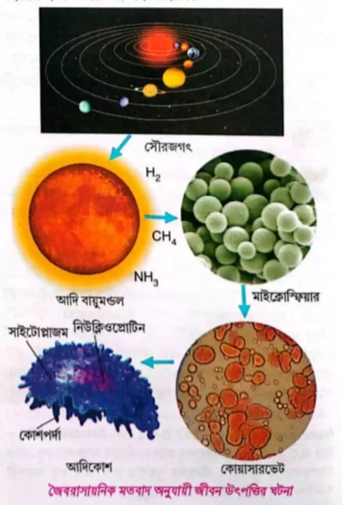 জৈবরাসায়নিক মতবাদ অনুযায়ী জীবন উৎপত্তির ঘটনা