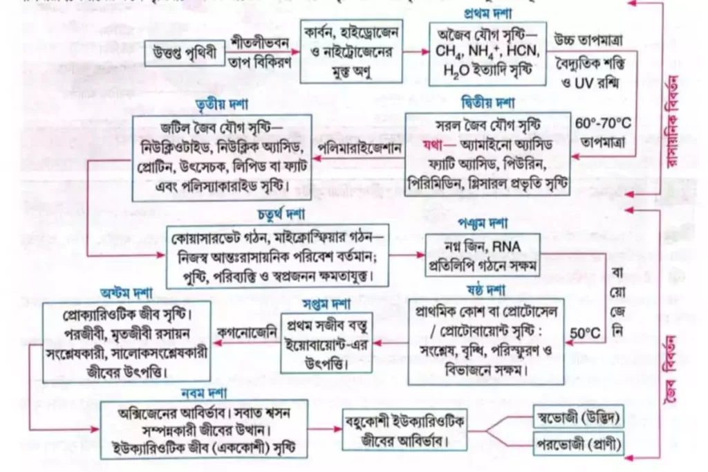 পৃথিবীতে প্রাণের সৃষ্টি শব্দচিত্রের মাধ্যমে লেখো।