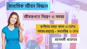 প্রাণীদের সাড়া প্রদান ও ভৌত সমন্বয়-স্নায়ুতন্ত্র – মধ্যমস্তিষ্ক ও চোখ