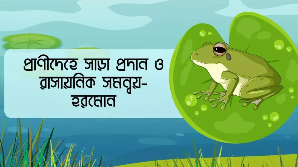 প্রাণীদেহে সাড়া প্রদান ও রাসায়নিক সমন্বয়-হরমোন